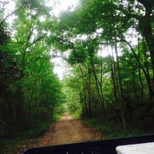 Meet your Posher, Peyton